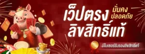 amaa79 เว็บตรง